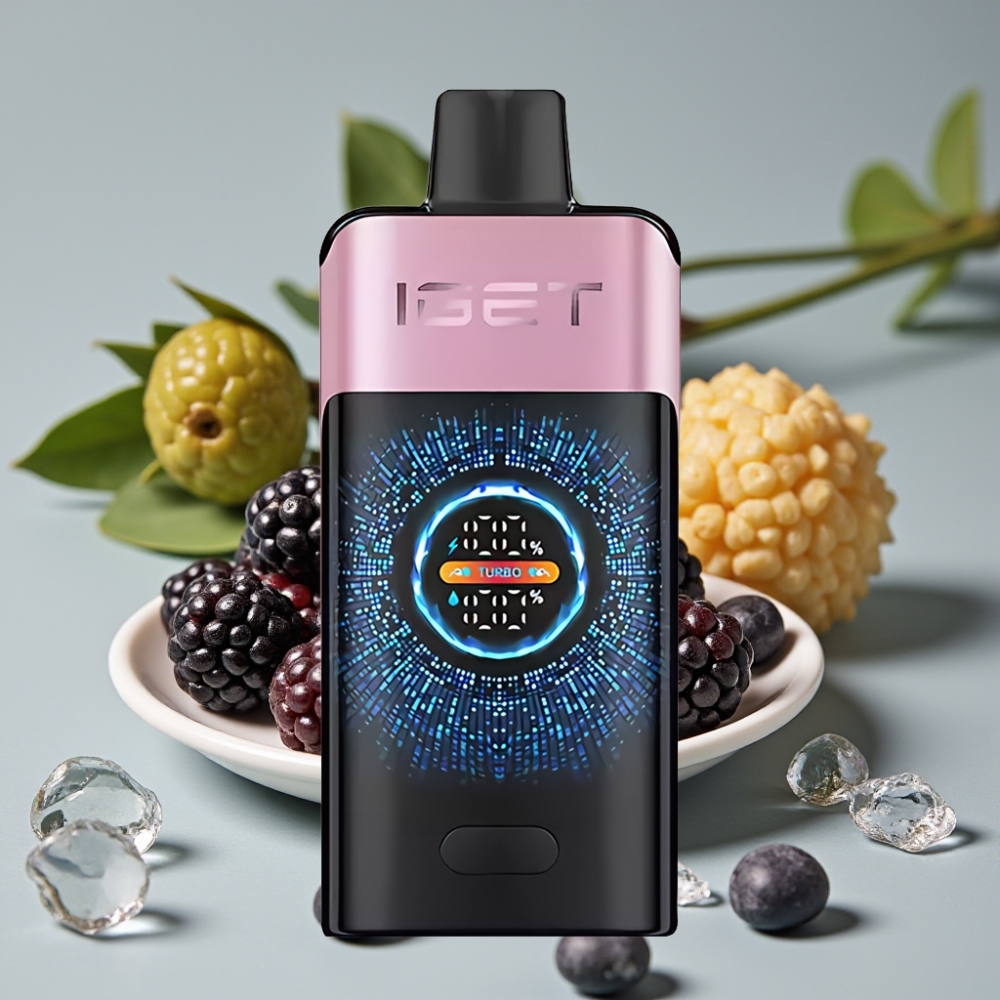 IGET ONE 12000 Puffs Disposable Vape Braambes IJs 12000 Puffs 2700 mAh 0.6 ohm