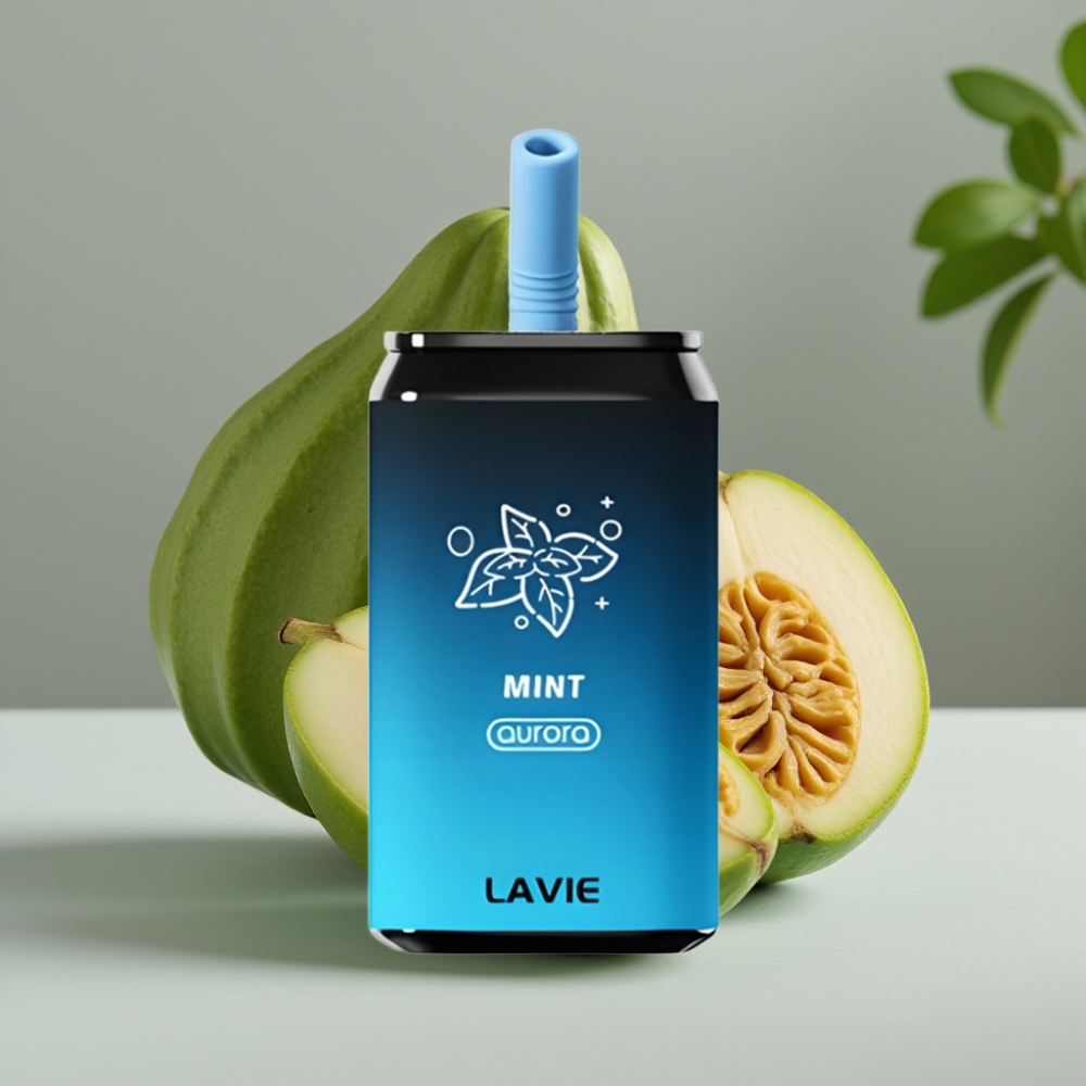 vape wholesale Suomi LAVIE Aurora 11000 Puffs Munt 22ML 650mAh Type C